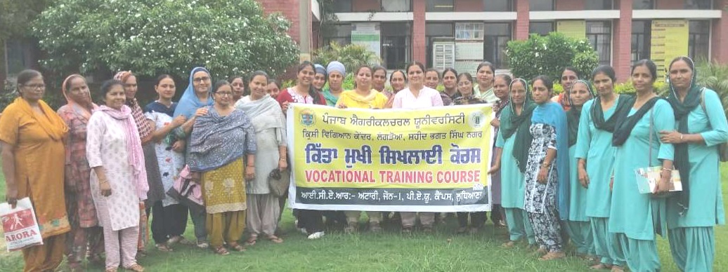 घरेलू स्वच्छता के लिए सफाई उत्पाद तैयार करने के लिए प्रशिक्षण पाठ्यक्रम आयोजित किए गए